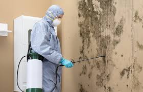 Best Industrial Mold Remediation  in Langhorne Manor, PA